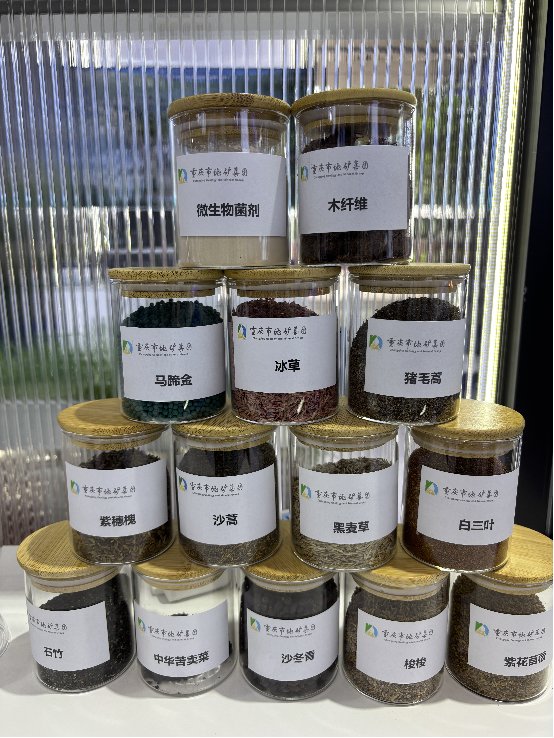 无码中文破解