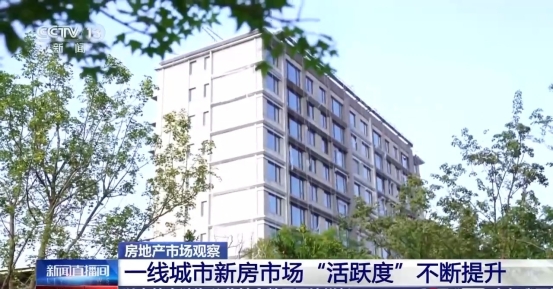 无码中文破解