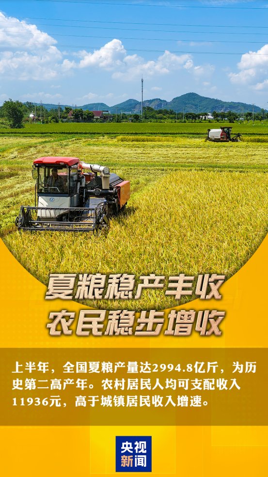 无码中文破解