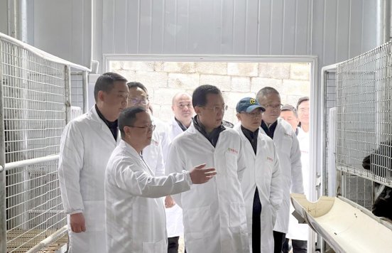 无码中文破解